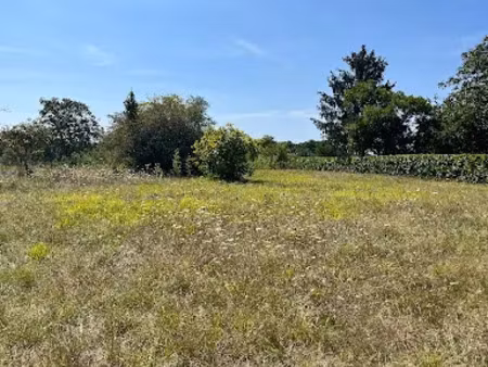 vente terrain 620 m² à saint-yzan-de-soudiac (33920)  45 000 €