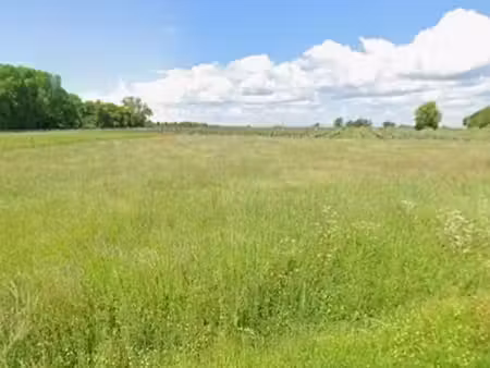 vente terrain 316 m² à abzac (33230)  48 000 €