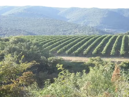 vente terrain 800 m² à cournanel (11300)  54 000 €