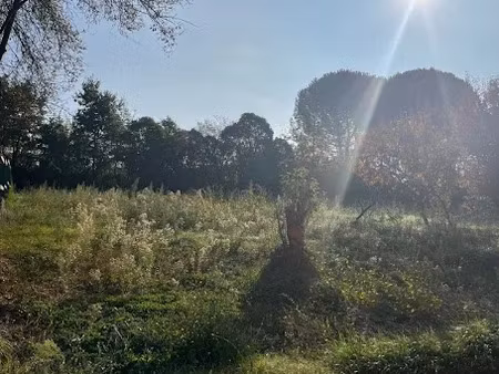 vente terrain 504 m² à albi (81000)  55 000 €