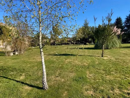 vente terrain 2950 m² à faleyras (33760)  59 000 €