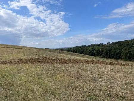 vente terrain 1300 m² à montfa (81210)  59 000 €
