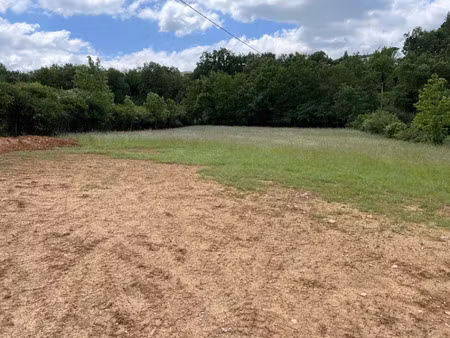 vente terrain 1346 m² à castres (81100)  65 000 €