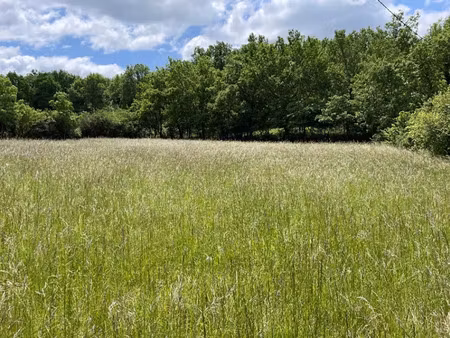 vente terrain 1711 m² à castres (81100)  65 000 €