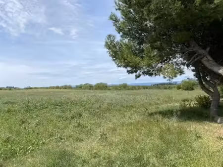 vente terrain 1305 m² à floure (11800)  66 000 €