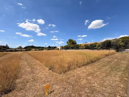 vente terrain 1000 m² à saint-laurent-de-cognac (16100)  71 000 €