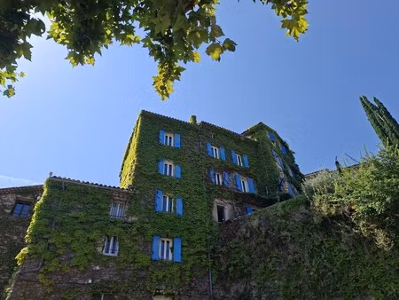 vente commerce auribeau sur siagne 06810 100m²