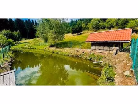 propriété xonrupt-longemer (88)