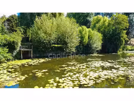 terrain à vendre montbizot 4588m2 39 900€