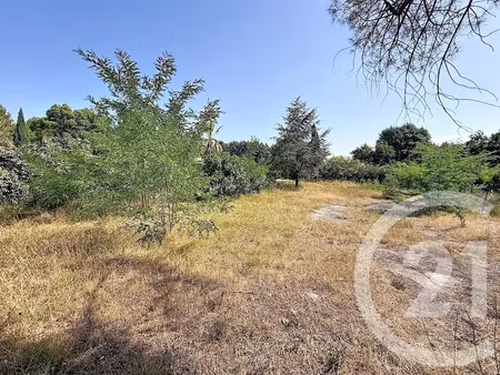 vente terrain à batir 1009 m² à castelnau-le-lez (34170)  399 000 €