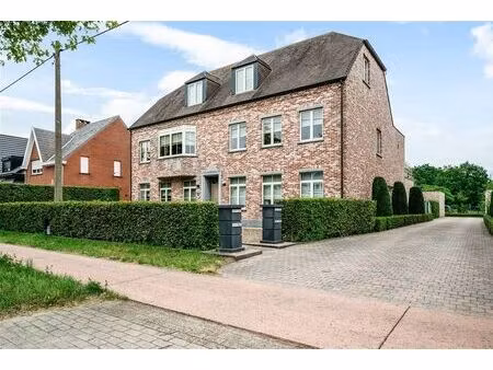 appartement à louer à mechelbaan 329 putte (rbw39389)