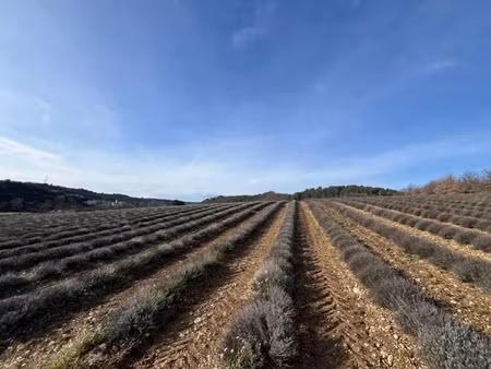 vente terrain 717 m² à roumoules (04500)  102 000 €