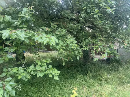 vente terrain 250 m² à illange (57970)  105 000 €