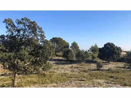 vente terrain 499 m² à lirac (30126)  119 300 €