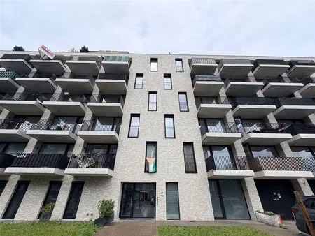 appartement à louer à zeelandstraat 69 hoboken (rbw39410)