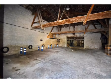 vente locaux professionnels à saint-cyr-de-favières (42123)  139 000 €