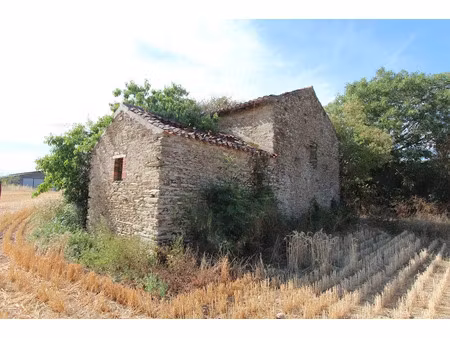 vente locaux professionnels 0 pièces 60 m² à le busseau (79240)  20 000 €