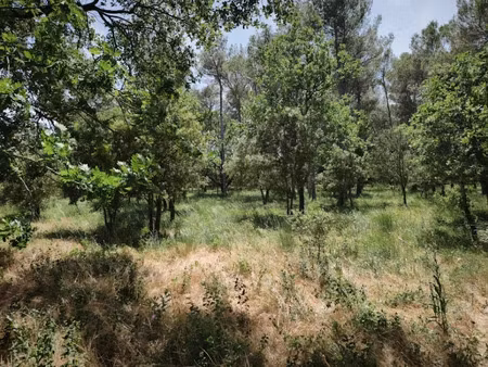vente terrain 655 m² à garéoult (83136)  149 000 €