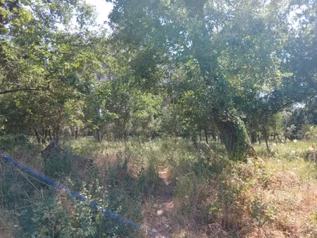 vente terrain 705 m² à garéoult (83136)  155 000 €