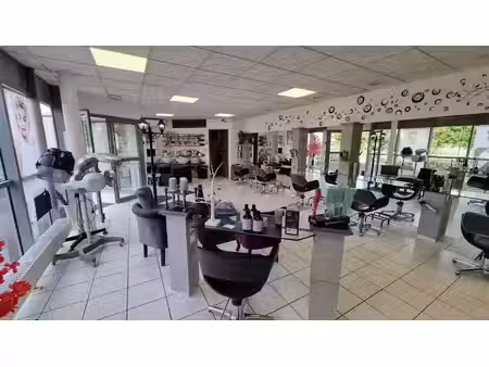 vente locaux professionnels 70 m² à chalon-sur-saone (71100)  84 500 €