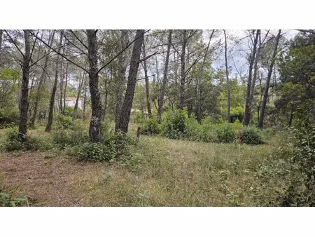 vente terrain 1200 m² à bagnols-en-forêt (83600)  185 000 €