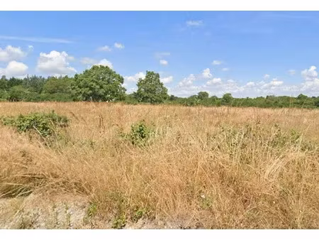 vente terrain 1091 m² à les moutiers-en-retz (44760)  239 000 €