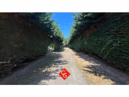 vente terrain à batir à trévières (14710)  321 000 €