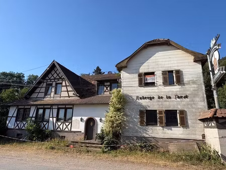 vente immeuble 0 pièces 300 m² à chatenois (67730)  380 000 €