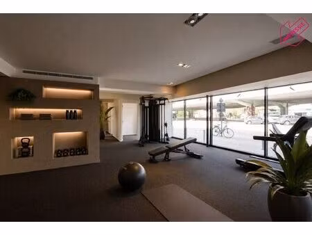 bureaux à louer à boomsesteenweg 223 wilrijk (rbw39455)