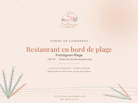 vente commerce 1 pièce 150 m² frontignan (34110)