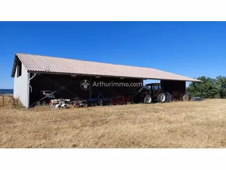 4 hectares de terres agricoles + 1 hangar de 370m²