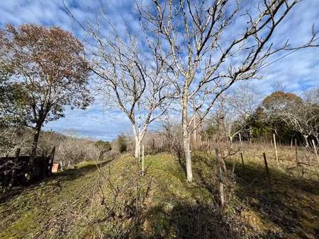 terrain à vendre