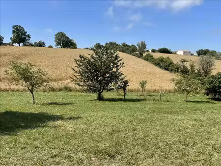 terrain