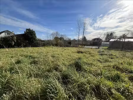terrain