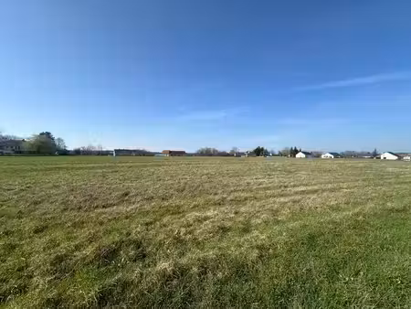 terrain