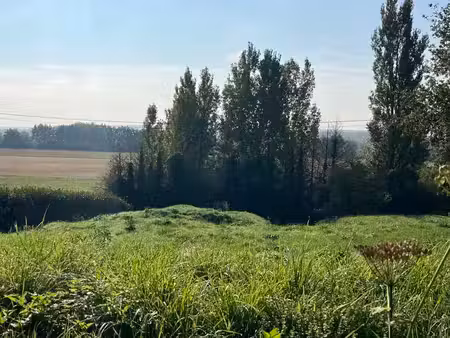 terrain
