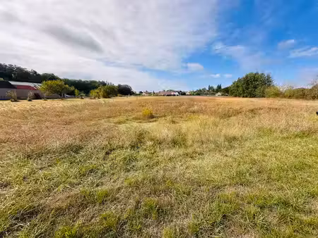 terrain