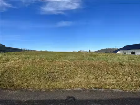 terrain