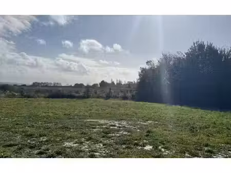 terrain