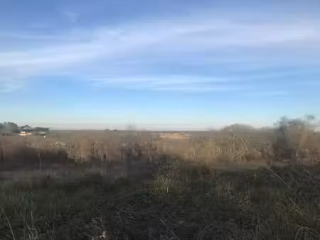terrain