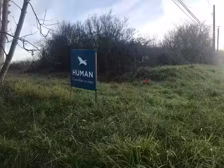 terrain
