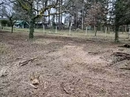 terrain