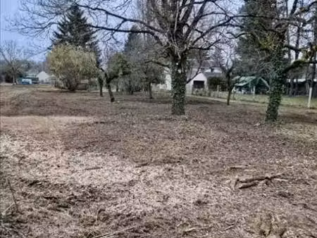 terrain