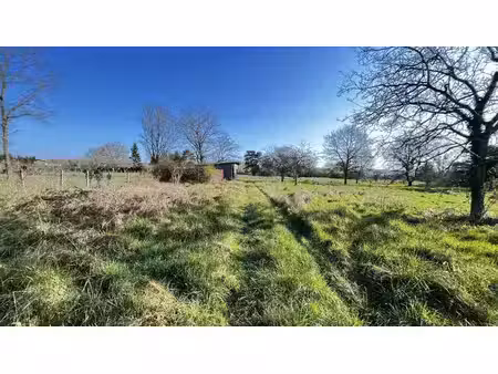 terrain