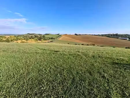 terrain