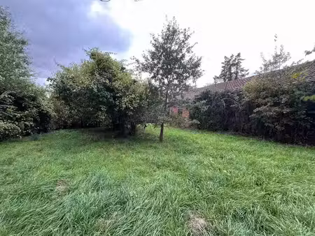 terrain