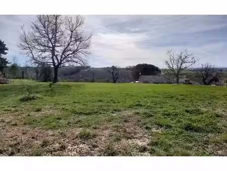 terrain
