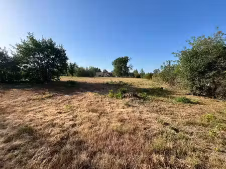 terrain