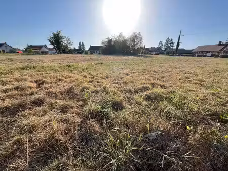 terrain