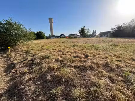terrain